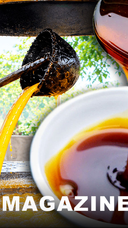 Những mùa mật mía bên dòng sông Con