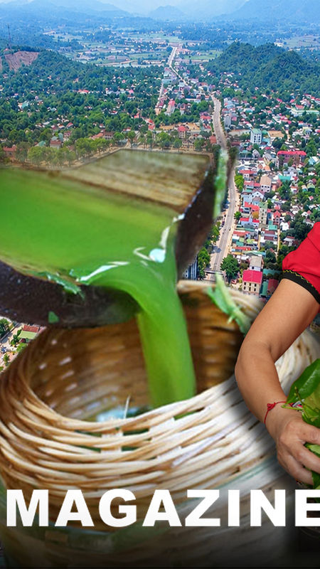 Mát ngọt chè đâm, đậm vị bản mường