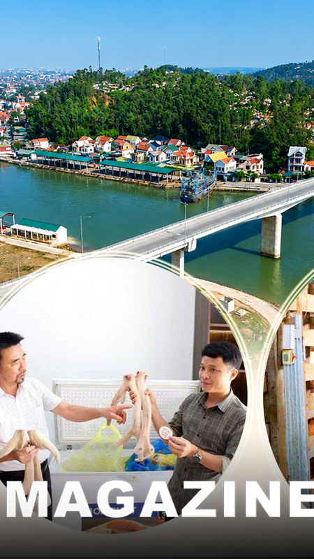 Từ lộc nhung đất Quỳnh đến sản phẩm OCOP
