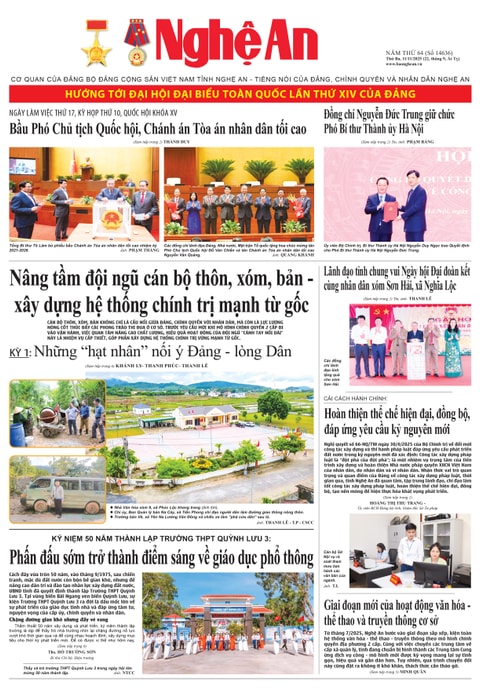 Số 14636 ngày 11-11-2025