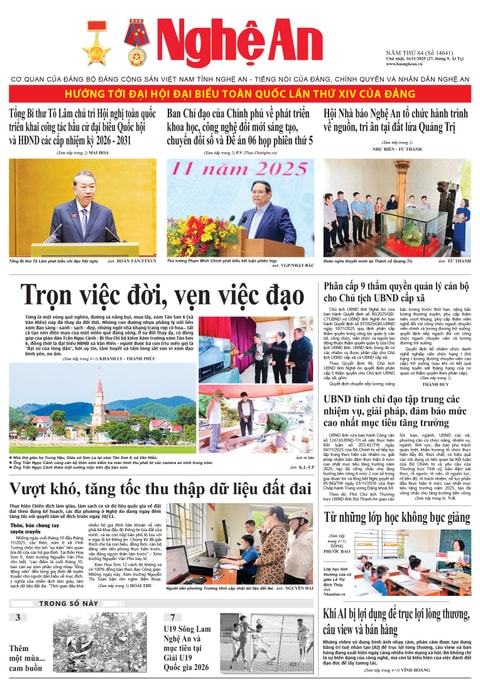 Số 14641 ngày 16-11-2025