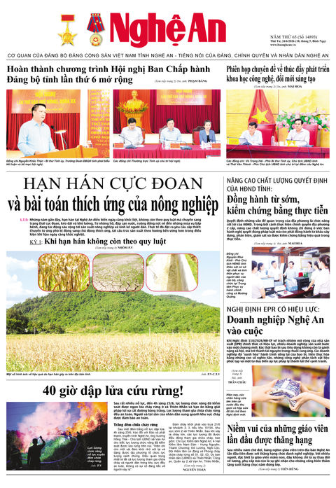 Số 14893 ngày 24-6-2026