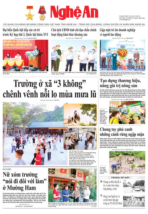 Số 15017 ngày 11-10-2026