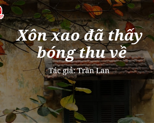 Tản văn hay: Xôn xao đã thấy bóng thu về