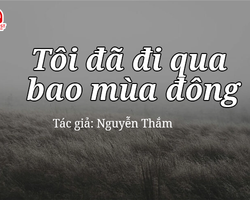 Tản văn hay: Tôi đã đi qua bao mùa đông