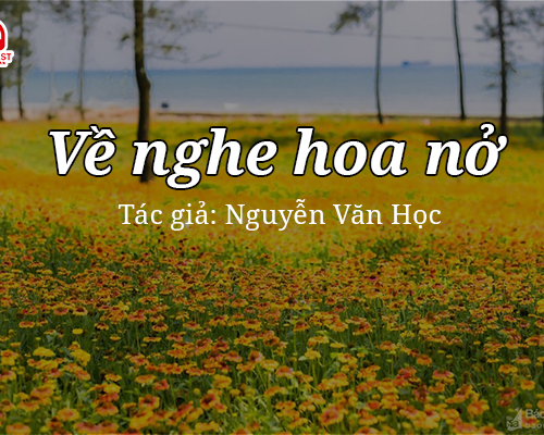 Đọc truyện đêm khuya: Về nghe hoa nở