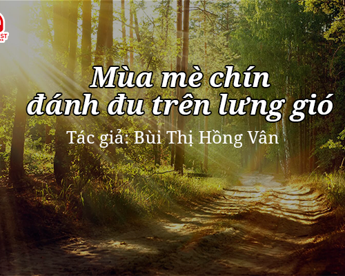 Tản văn hay: Mùa mè chín đánh đu trên lưng gió