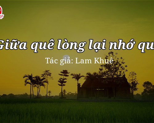 Tản văn hay: Giữa quê lòng lại nhớ quê