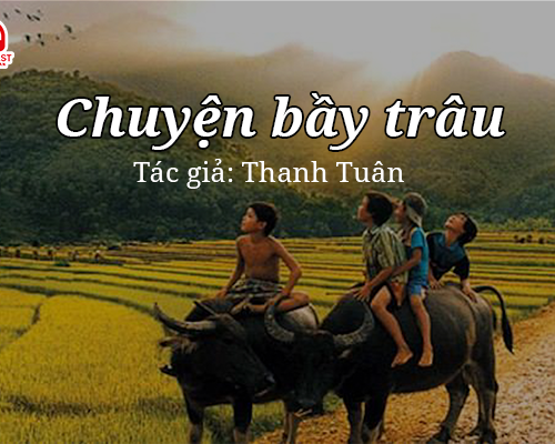 Tản văn hay: Chuyện bầy trâu