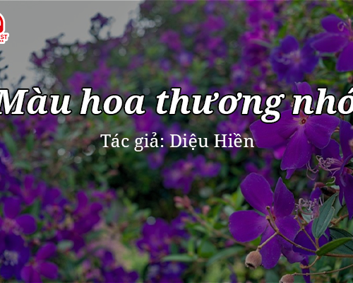 Tản văn hay: Màu hoa thương nhớ