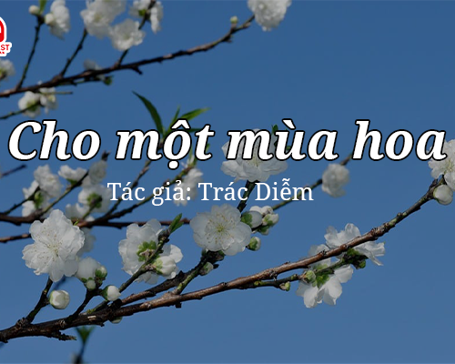 Truyện ngắn: Cho một mùa hoa