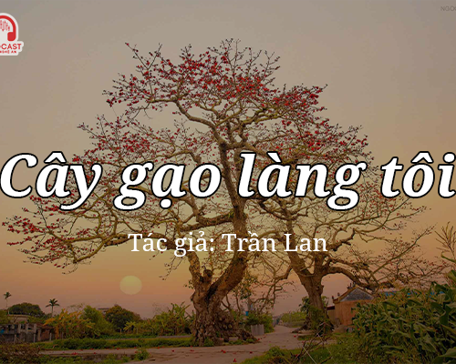 Tản văn hay: Cây gạo làng tôi