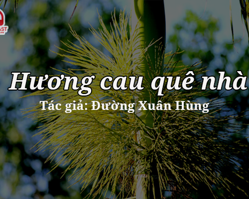 Tản văn hay: Hương cau quê nhà
