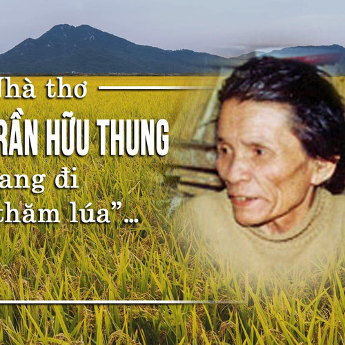 Văn hóa xứ Nghệ: Nhà thơ Trần Hữu Thung đang đi "thăm lúa"