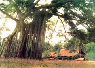 Tân Trào - Nơi khởi đầu sự kiện lịch sử