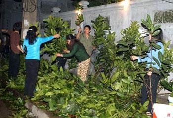 Hái lộc đầu xuân