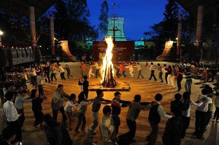 Thấp thoáng một vùng hoa Dã Quỳ