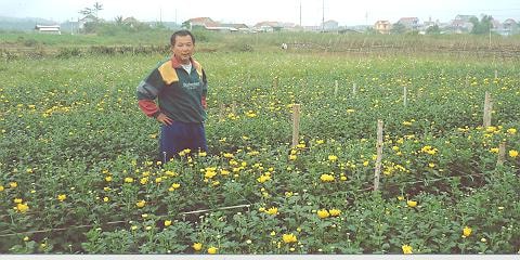 Người trồng hoa và cách nhìn mới