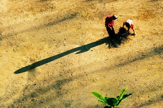 Hương sắc Thanh Chương