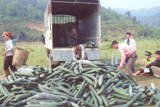 Nhiều cách làm sáng tạo