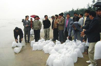 Thả 50 vạn tôm giống, tái tạo nguồn lợi thủy sản