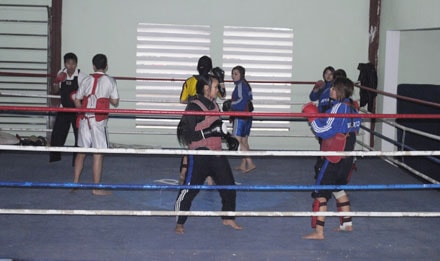 12 VĐV Nghệ An tham dự Giải vô địch Wushu toàn quốc