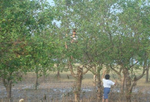 Tăng cường khả năng ứng phó với thảm họa và biến đổi khí hậu