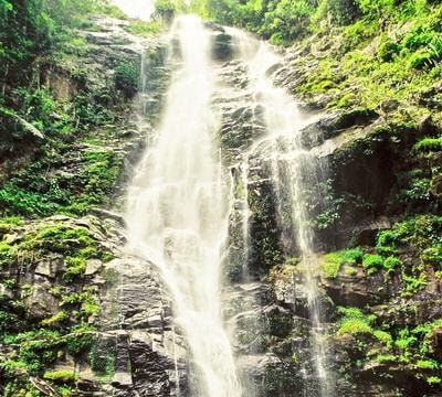 Cho "Lá phổi xanh, kinh tế xanh"