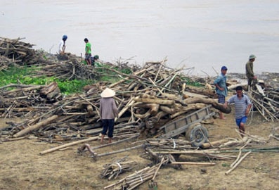 Cần cảnh báo nguy hiểm với người dân vớt củi trên sông do lũ
