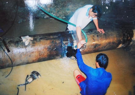 Tín hiệu khả quan từ nguồn vốn ODA