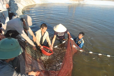 Ứng dụng tiến bộ Khoa học và Công nghệ trong ngành thủy sản