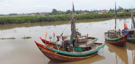 Diễn Châu: Bảo vệ rừng ngập mặn