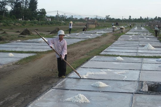 Nhọc nhằn nghề muối: Bài I -  Muối... đắng!