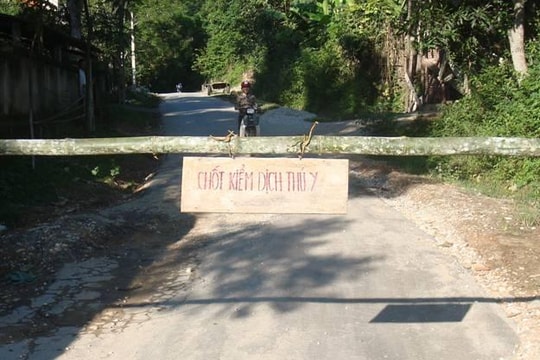 Triển khai các biện pháp dập dịch tụ huyết trùng trên đàn trâu