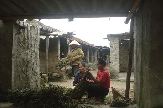 Mạch nguồn di sản văn hóa xứ Nghệ: Bài 1: Buổi sơ khai