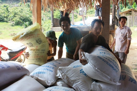 Những hạt gạo mang nặng nghĩa tình