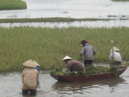 Phó Chủ tịch UBND tỉnh Đinh Viết Hồng kiểm tra tình hình mưa lụt tại Yên Thành, Hưng Nguyên