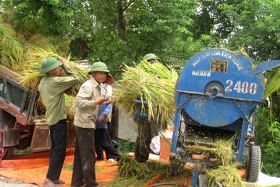 Bộ đội giúp dân gặt lúa chạy lụt ở Hưng Nguyên