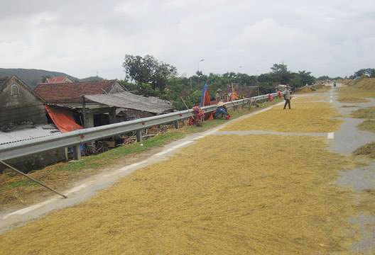 Xây dựng lò sấy nông sản: Bài toán khó!