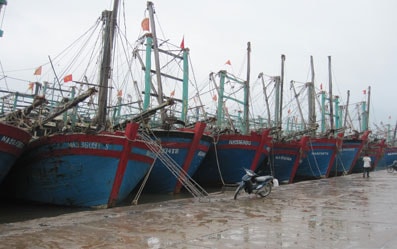 Phó Chủ tịch UBND tỉnh Đinh Viết Hồng kiểm tra tình hình mưa lũ ở Diễn Châu và Quỳnh Lưu