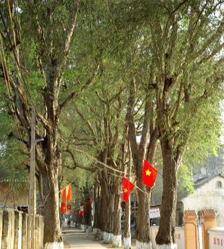 Nét duyên miền đất đỏ