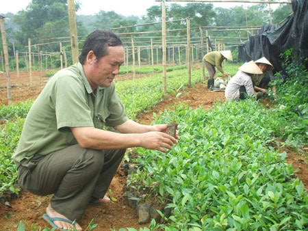 Bài 2. Những hạn chế về năng lực quản lý và tay nghề lao động