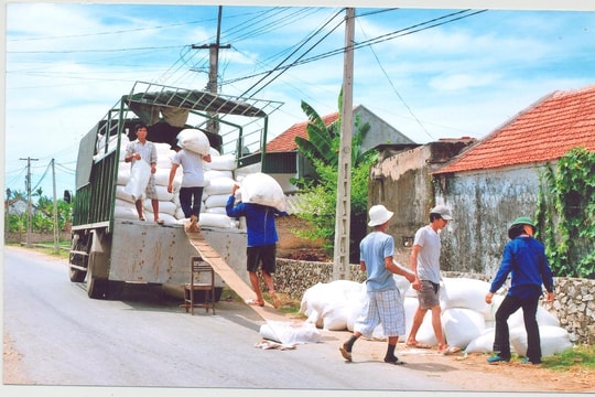 Bà con giáo dân Nghệ An nỗ lực phát triển kinh tế, xây dựng đời sống văn hoá