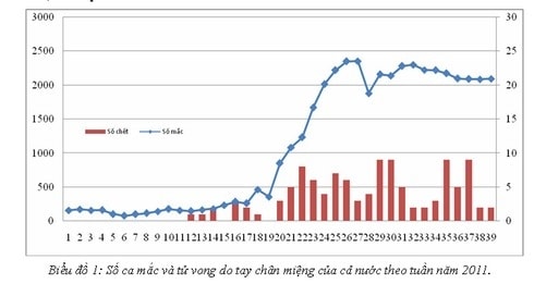 Bộ trưởng Y tế: "Chưa đến mức công bố dịch tay chân miệng"