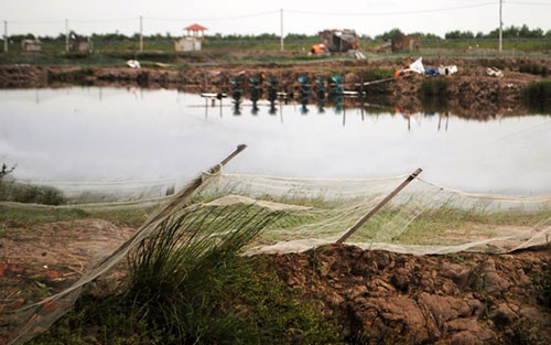 Bài II: Mong ước và trăn trở