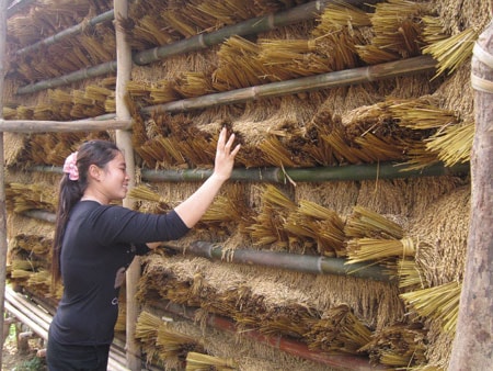 Xôn xao lễ mừng cơm mới