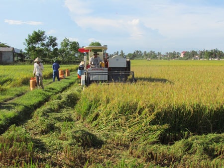 Hiệu quả từ chính sách tín dụng