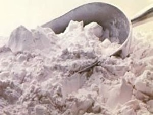 Phát minh tinh bột giúp phòng ngừa bệnh béo phì