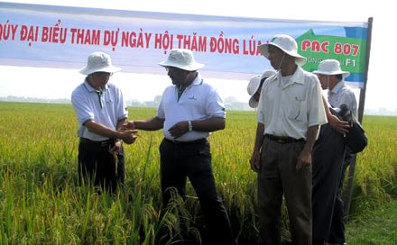 Bài 1: Xây dựng các vùng sản xuất hàng hóa tập trung