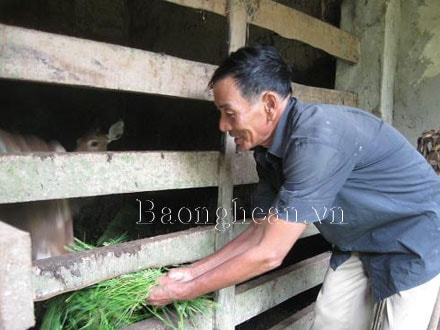 Nghị lực vượt khó của một thương binh